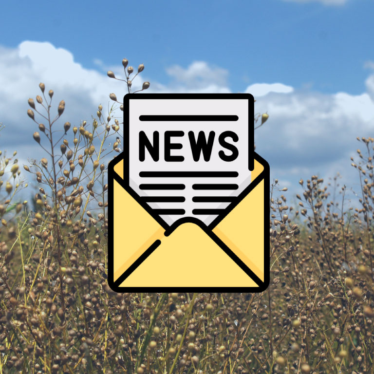 UNTWIST_news-web-cuadrada