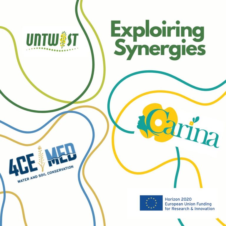 Synergies