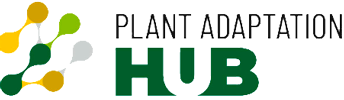 logohubuntwist