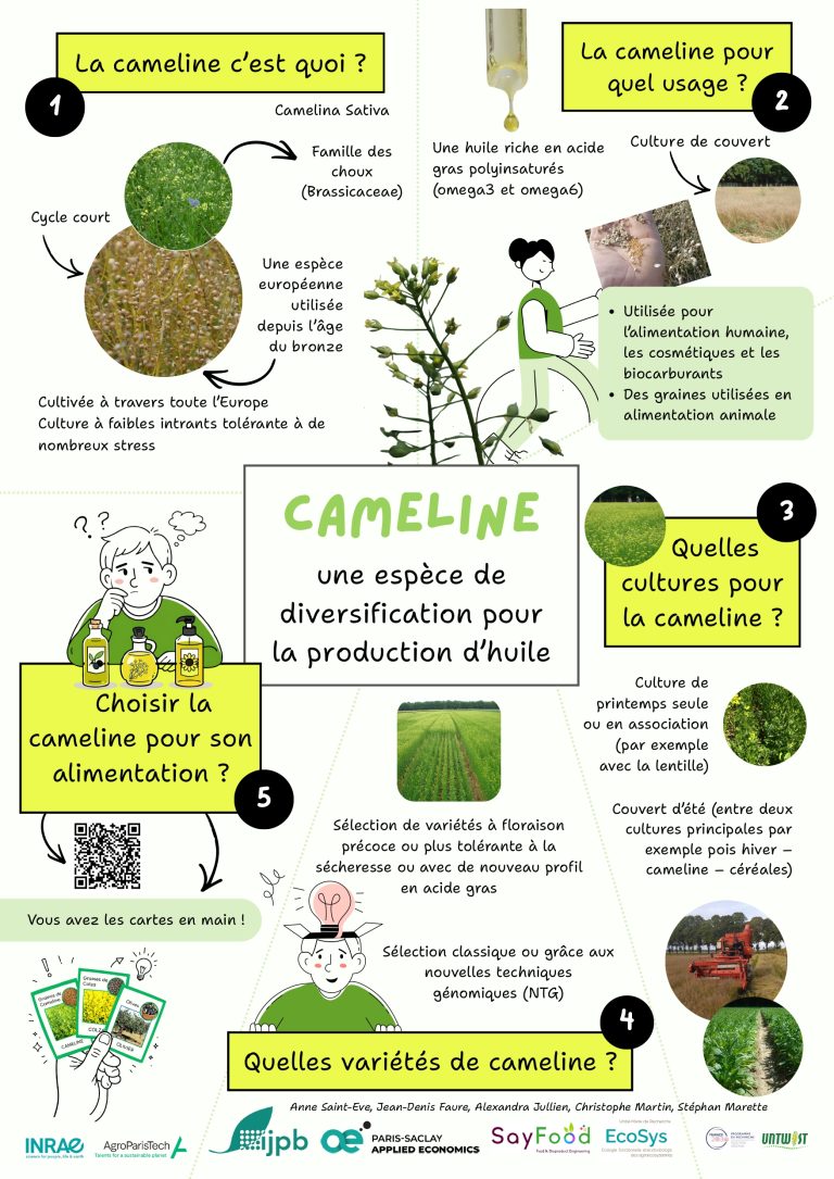 Cameline final_page-0001