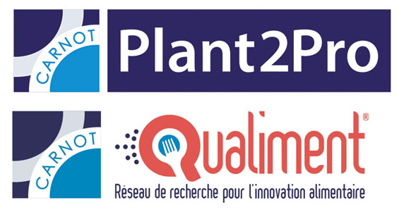 logogeo